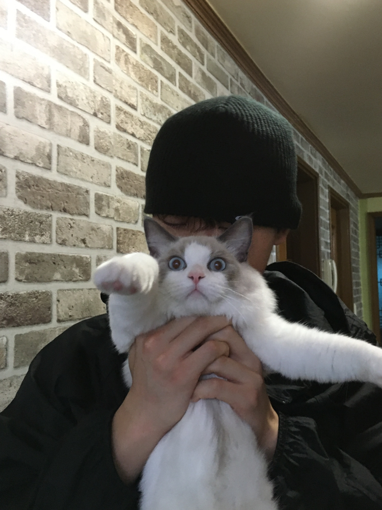 KREAM 프로필 이미지