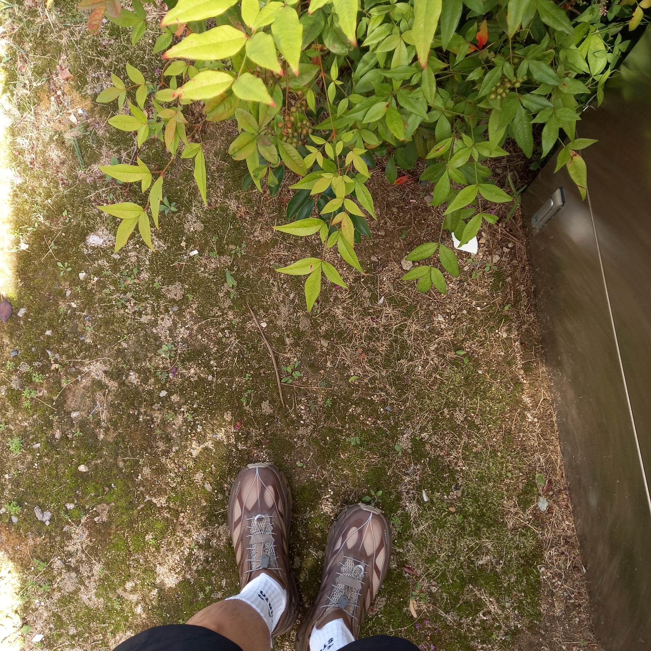Hoka x Satisfy Mafate Speed 4 Lite Rubber, Arc'teryx Arc'Multi Bird Logo SS T-Shirt White Light 착용 스타일 - 6