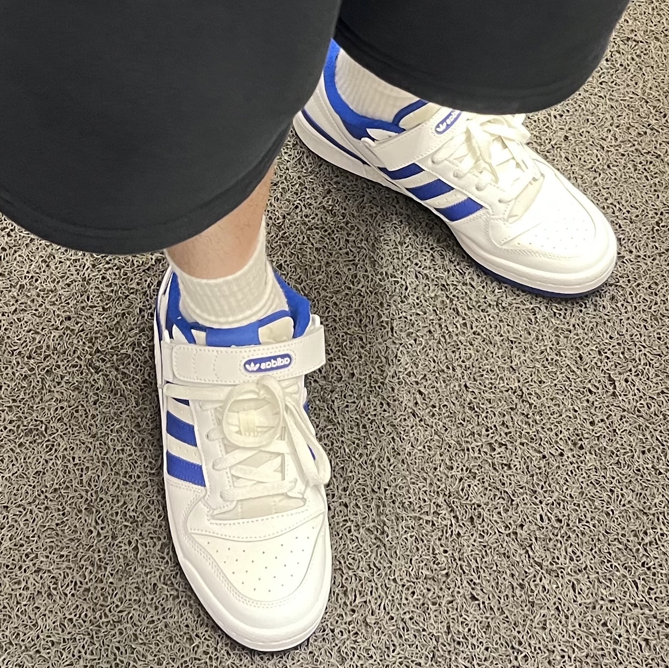 Adidas Forum Low White Royal Blue 착용 스타일
