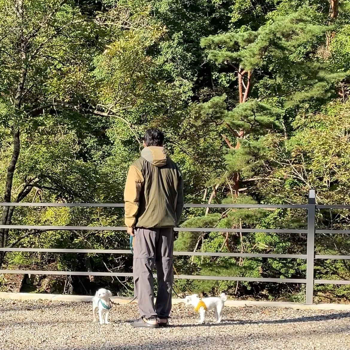Arc'teryx Atom LT Hoody Tatsu Forage 착용 스타일 - 3
