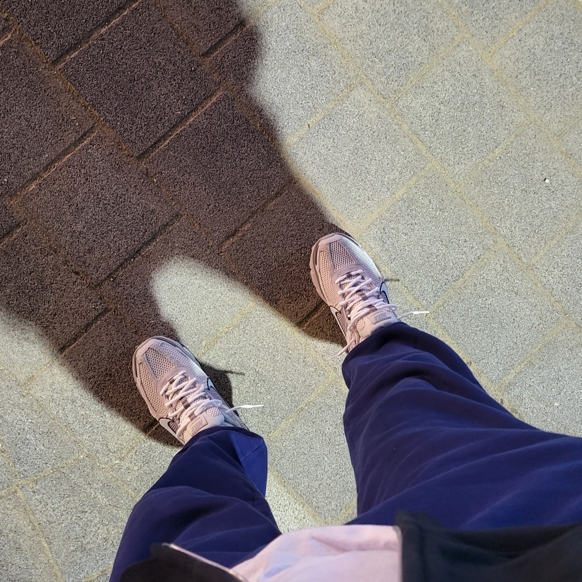 Nike Zoom Vomero 5 SE Light Orewood Brown 착용 스타일