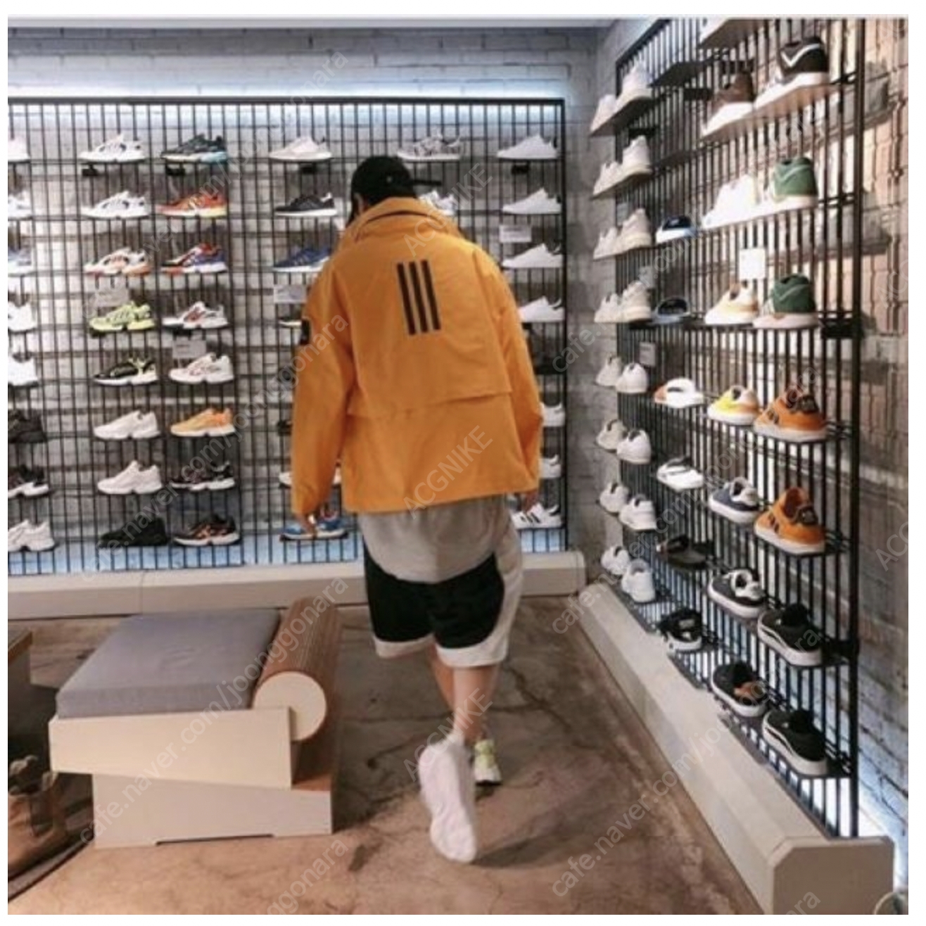 Adidas Myshelte Rain.RDY Jacket Active Gold - KR Sizing 착용 스타일 - 2
