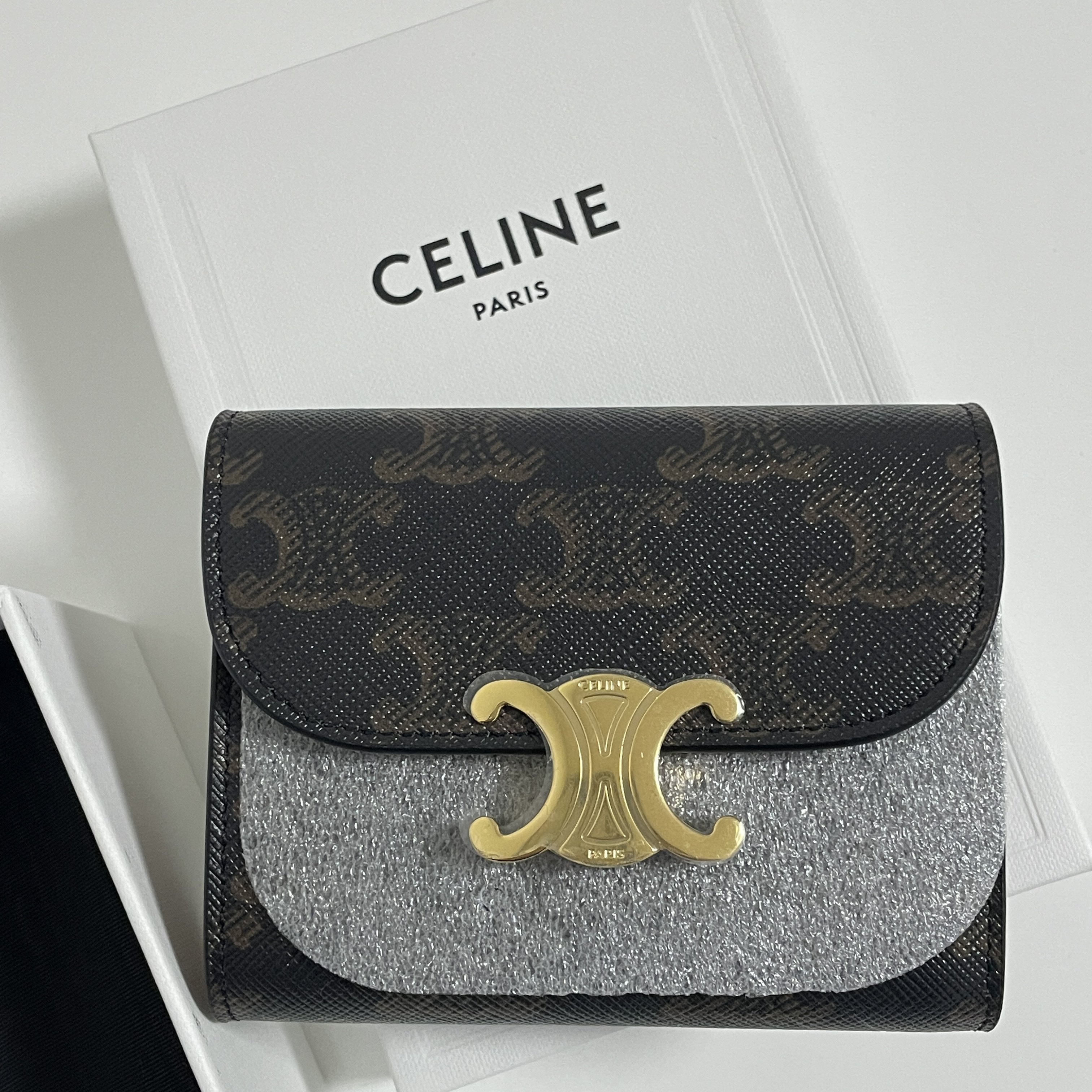 Celine Small Wallet Triomphe in Triomphe Canvas Tan 착용 스타일