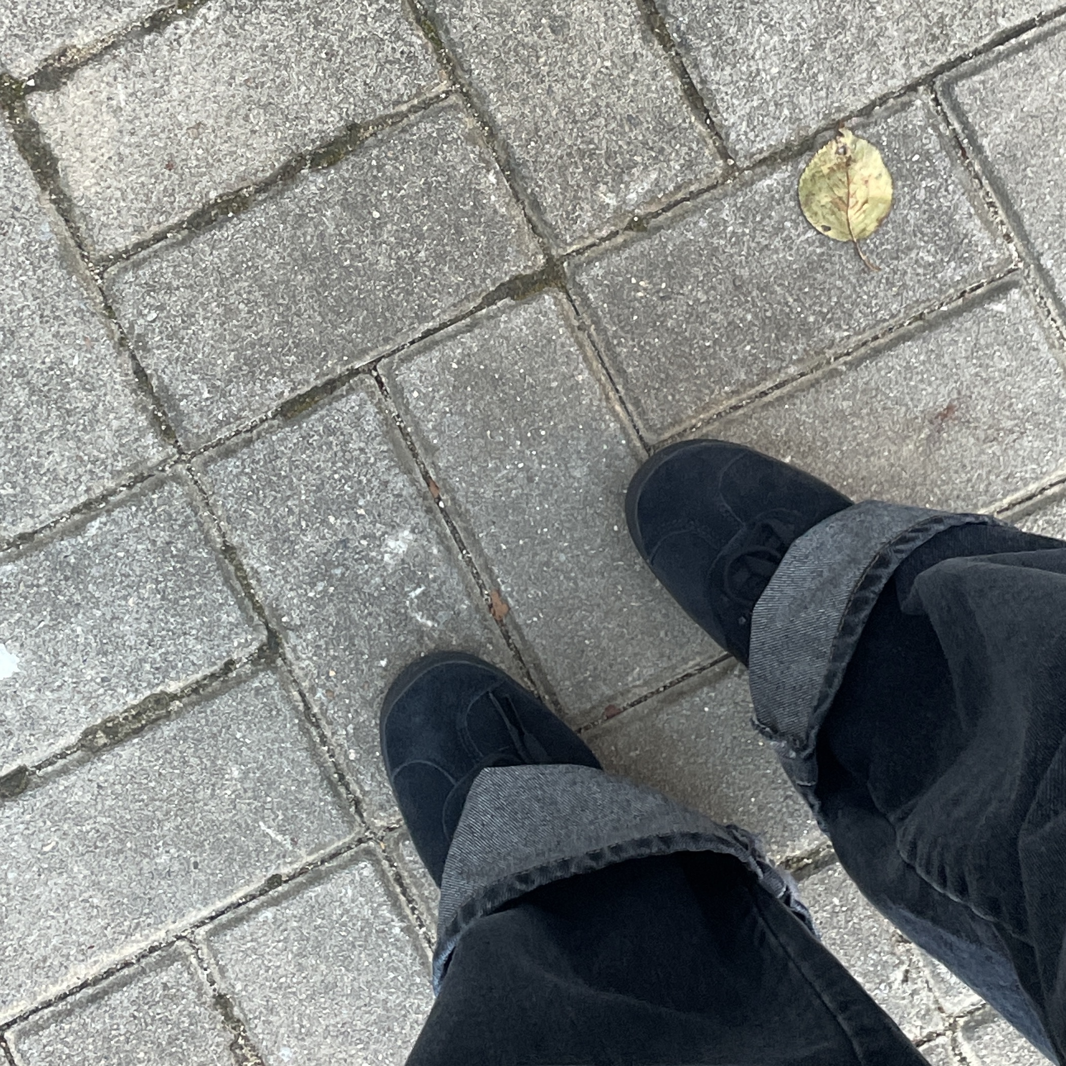 Adidas Gazelle Triple Black 착용 스타일