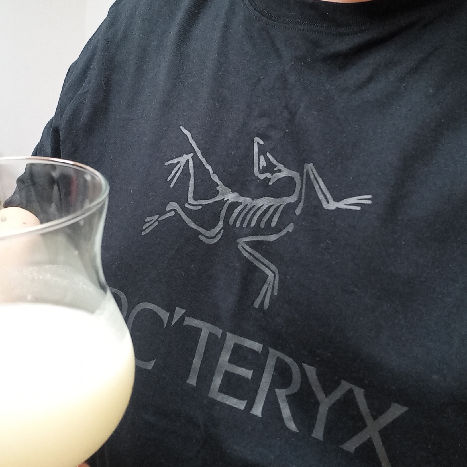 Arc'teryx Arc'word Logo SS T-Shirt Black, Arc'teryx Arc'word SS T-Shirt Black 착용 스타일 - 1
