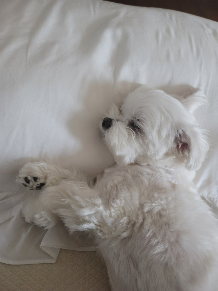 관심 유저 프로필 이미지