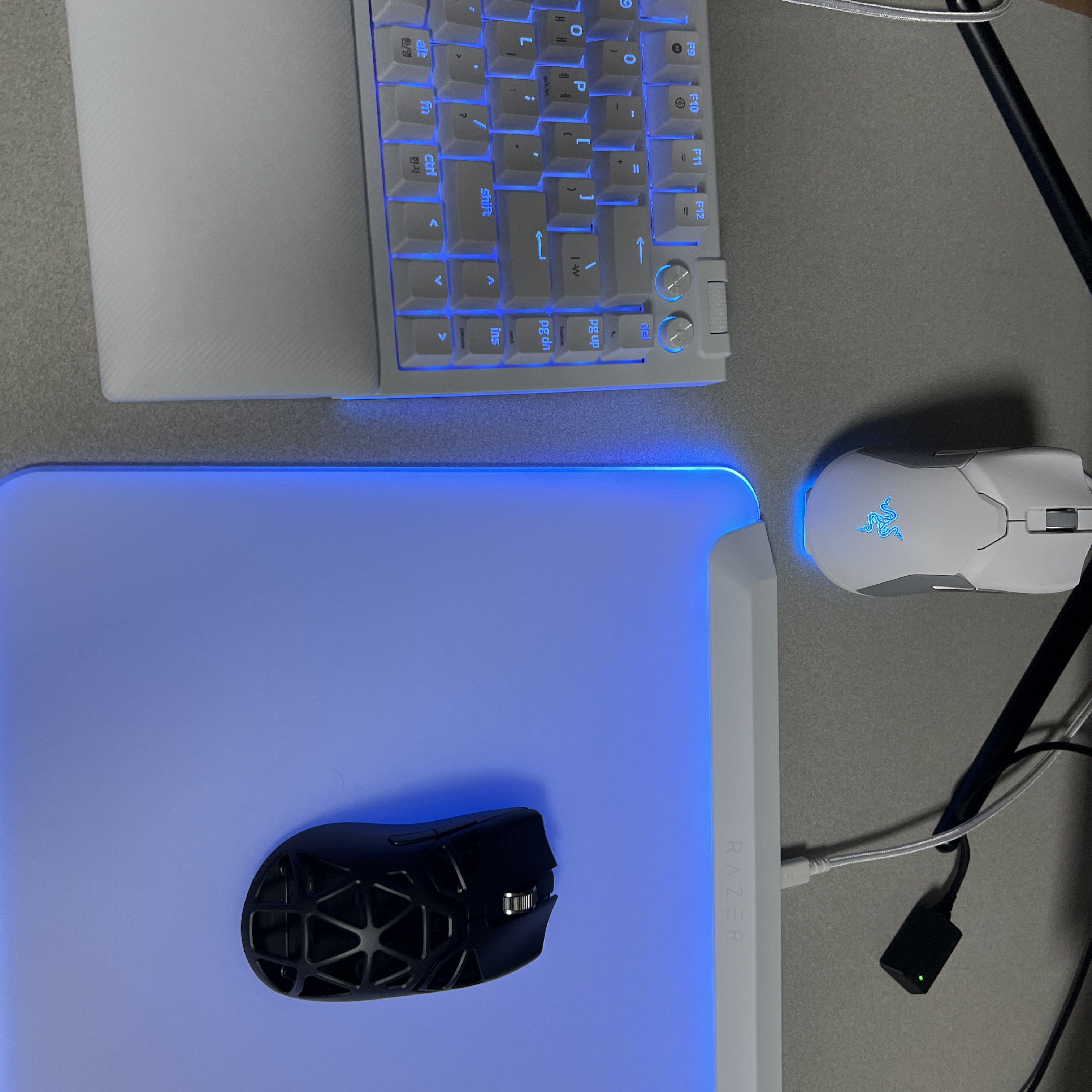 Razer Viper Mini Signature Edition Black (Korean Ver.) 착용 스타일 - 4