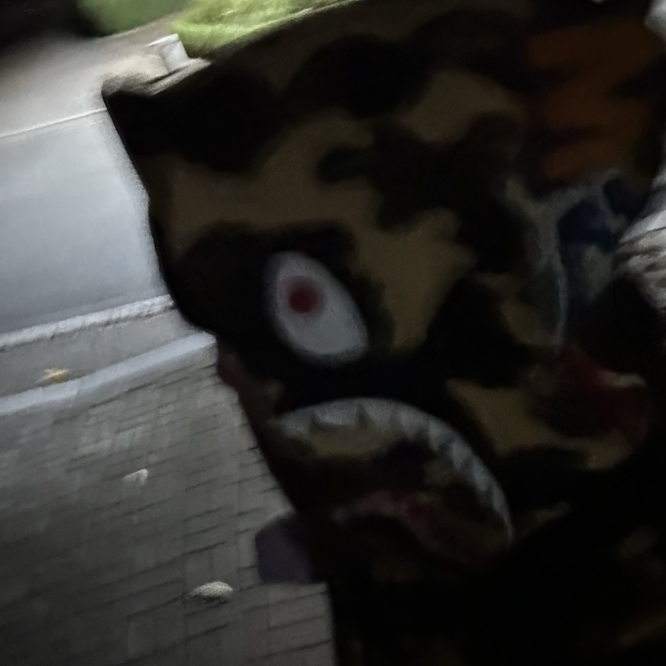 BAPE PONR 1st Camo 2nd Shark Full Zip Hoodie Yellow 착용 스타일 - 2