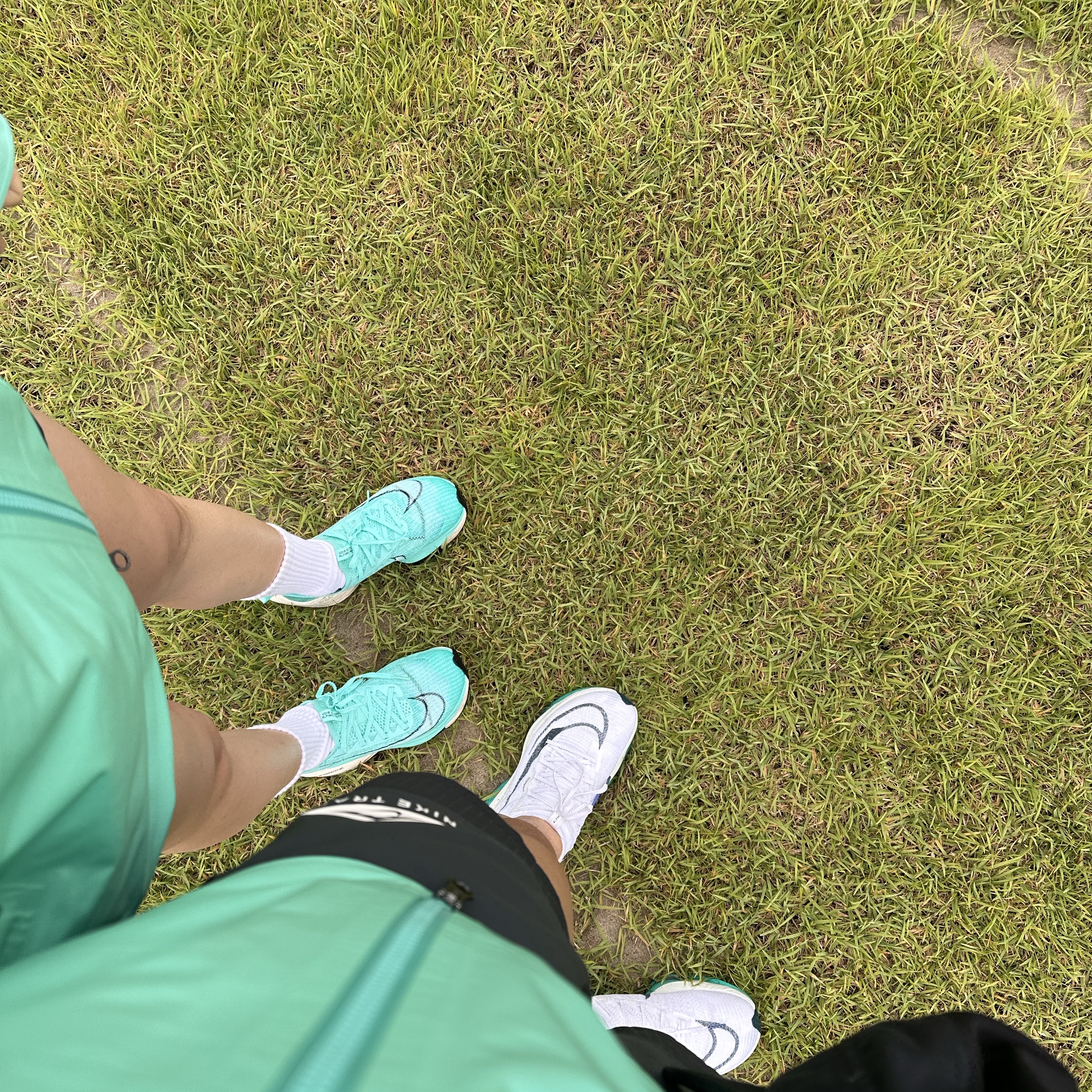 Nike ACG Storm-Fit ADV Gore-Tex Misery Ridge Jacket Light Menta - Asia, Nike Air Zoom Alphafly Next% 2 White Clear Jade 착용 스타일