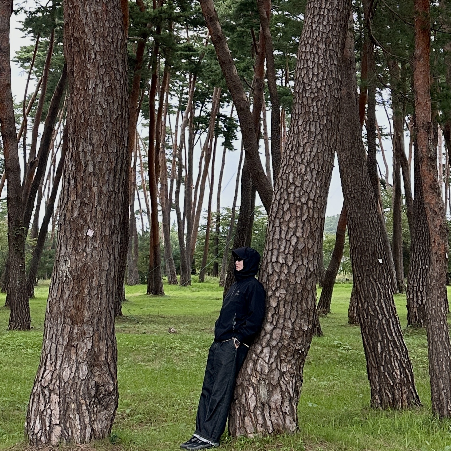 Arc'teryx Beta LT Jacket Black, On Running Cloudaway All Black 착용 스타일