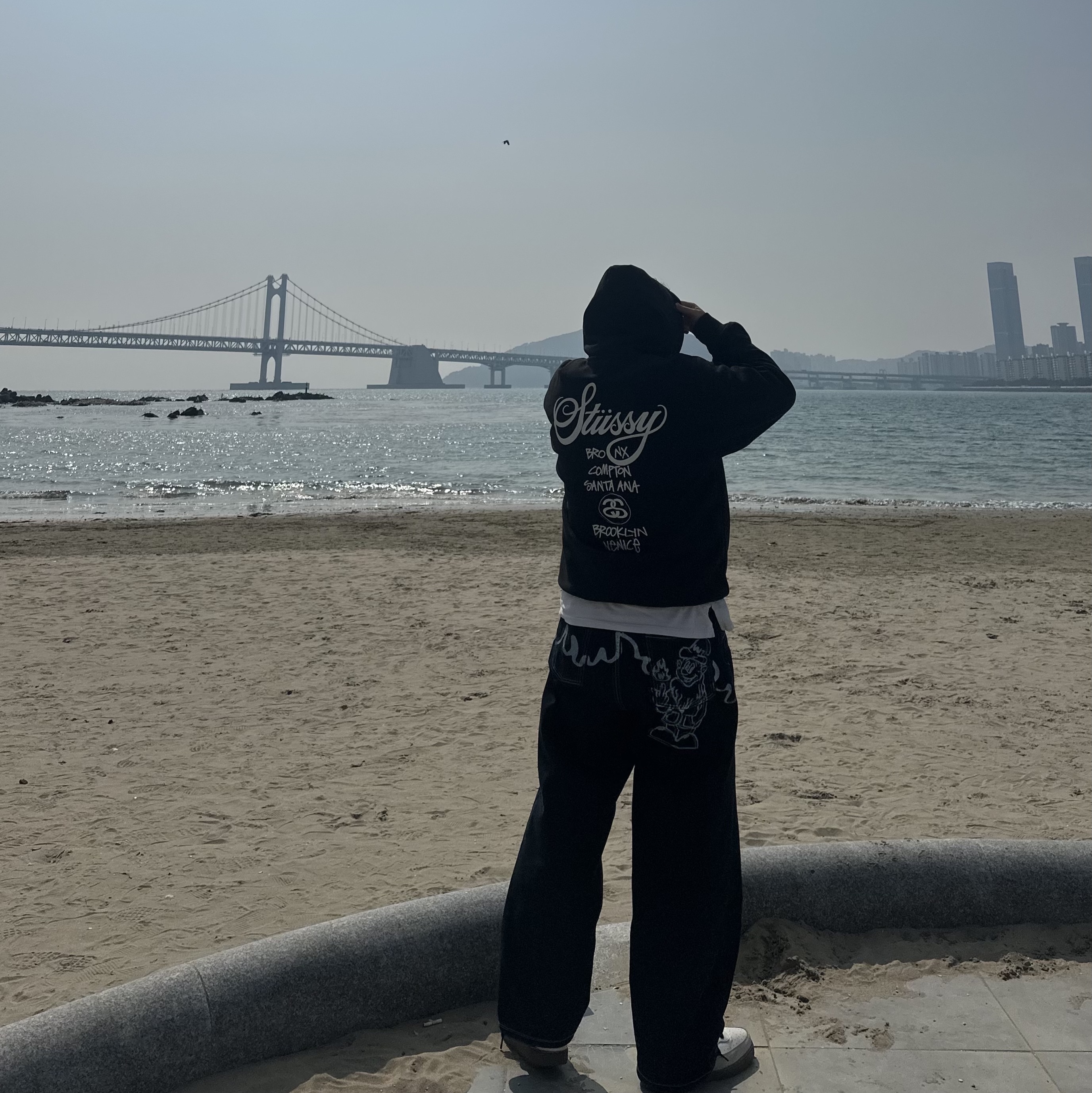 Stussy World Tour Hoodie Black, Nike Court Vision Low Sail Light Orewood Brown 착용 스타일