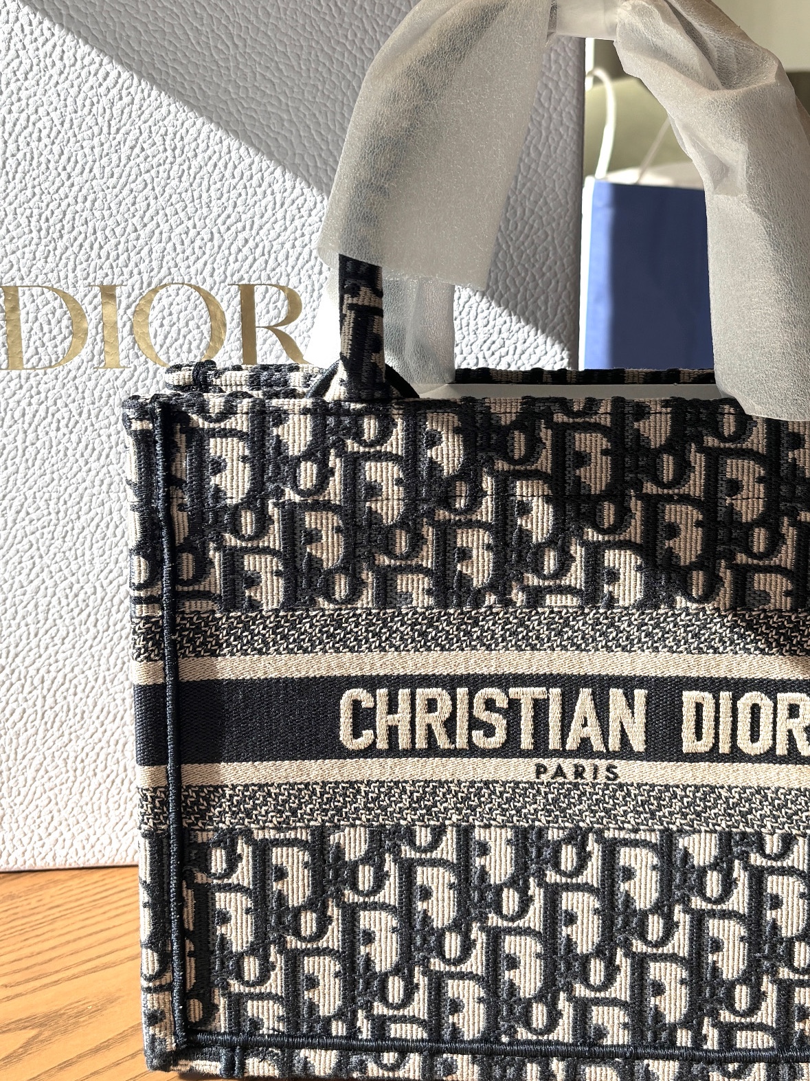 Dior Small Book Tote Blue Dior Oblique Embroidery 착용 스타일