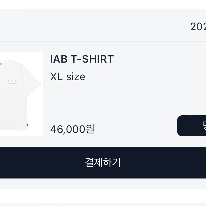 IAB Studio T-Shirt White Sky Blue 착용 스타일