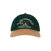[20% 적립] [KREAM 단독] Polo Ralph Lauren Best Friend Twill Ball Cap Green - 24FW