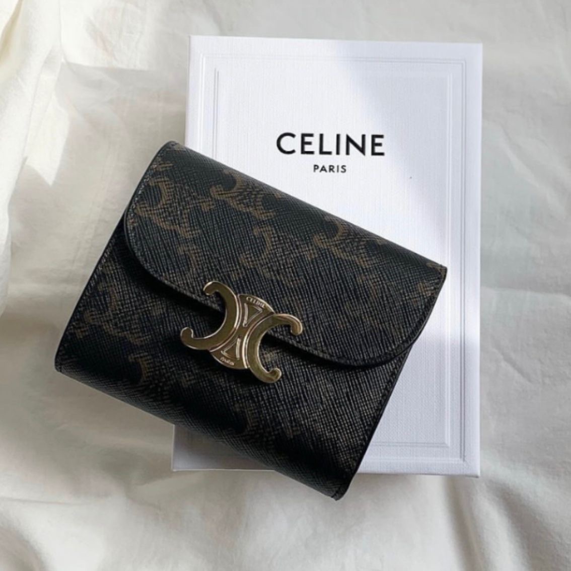 Celine Card Holder with Flap in Triomphe Canvas Tan 착용 스타일