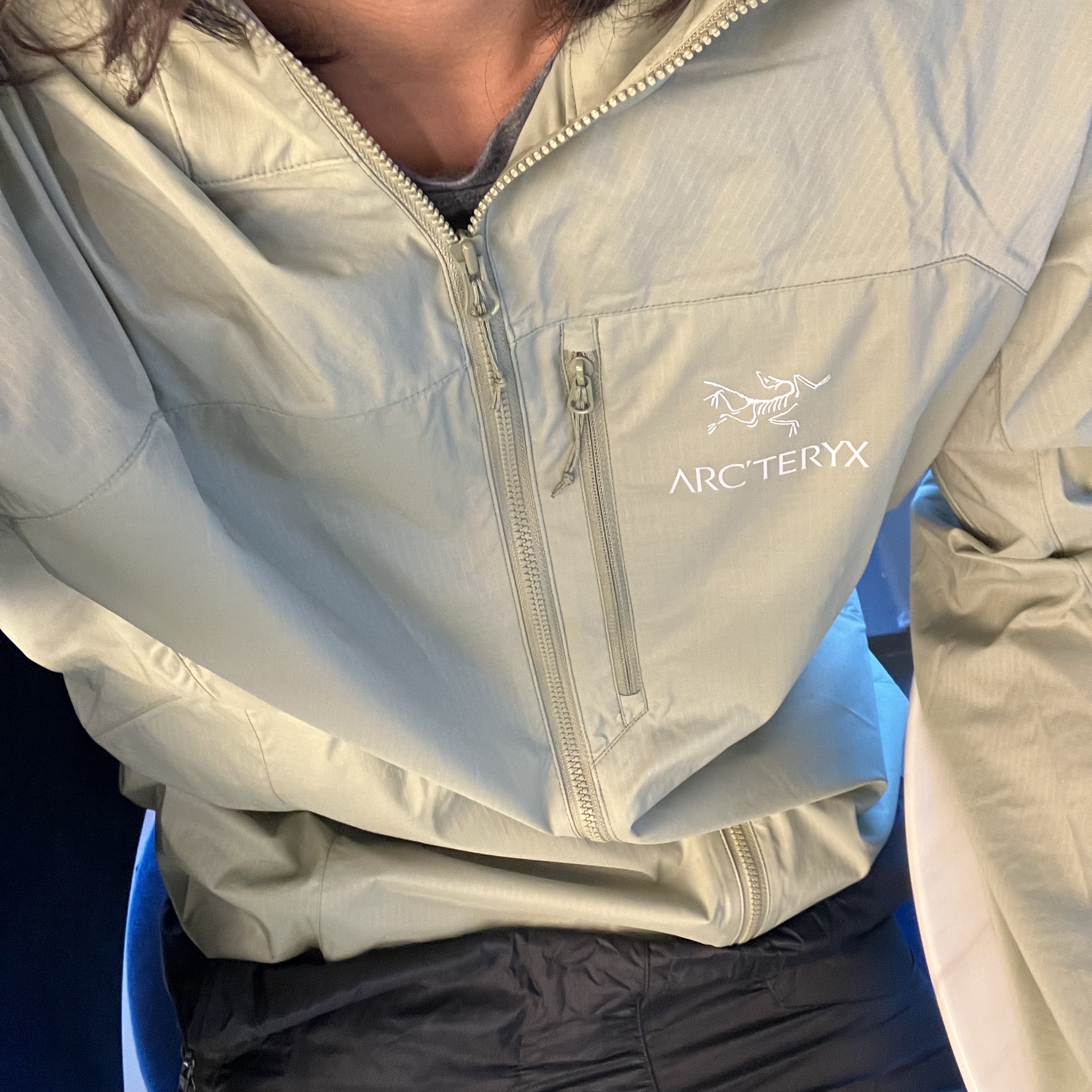 Arc'teryx Squamish Hoody Chloris, Porter Tanker Backpack Sage Green 착용 스타일 - 2