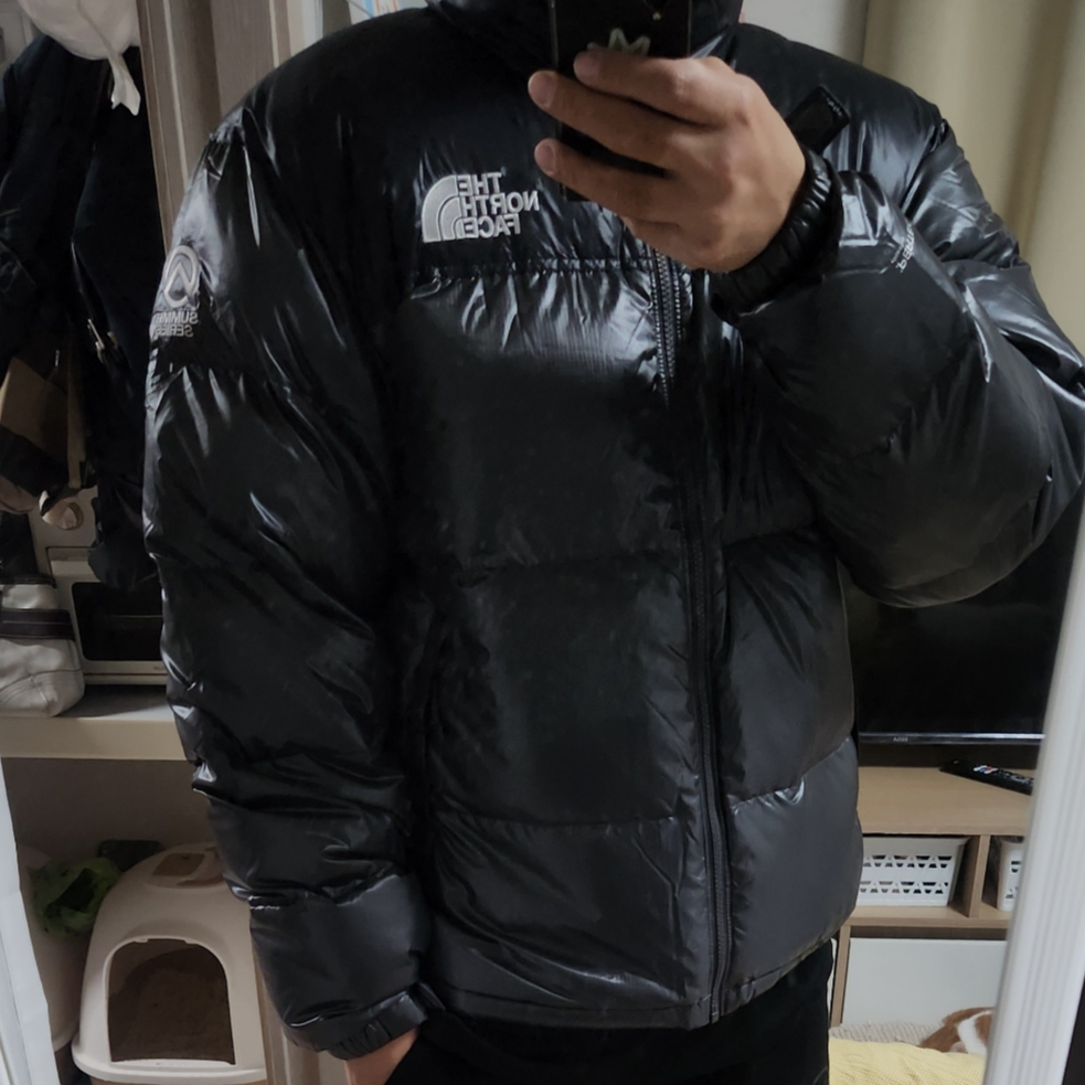The North Face Quantum Nuptse RDS Down Jacket Silver Gray 착용 스타일 - 1