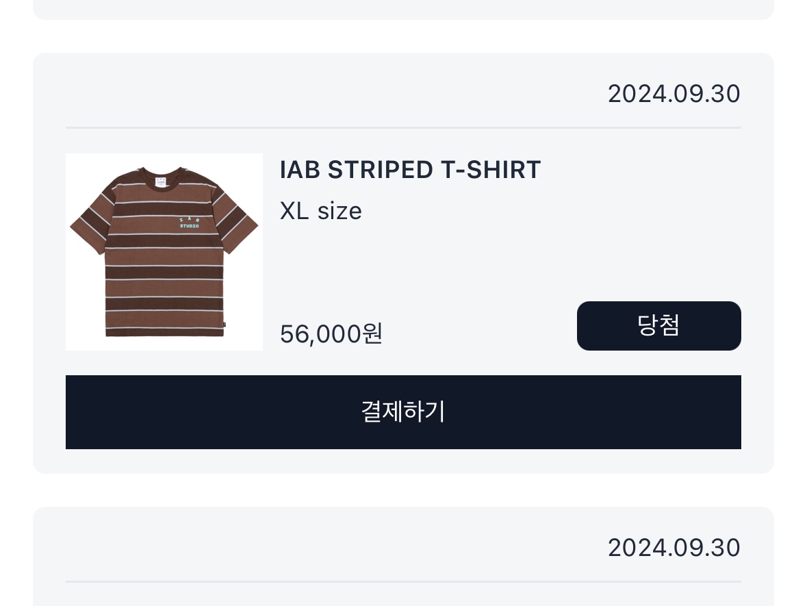 IAB Studio Striped T-Shirt Brown 착용 스타일