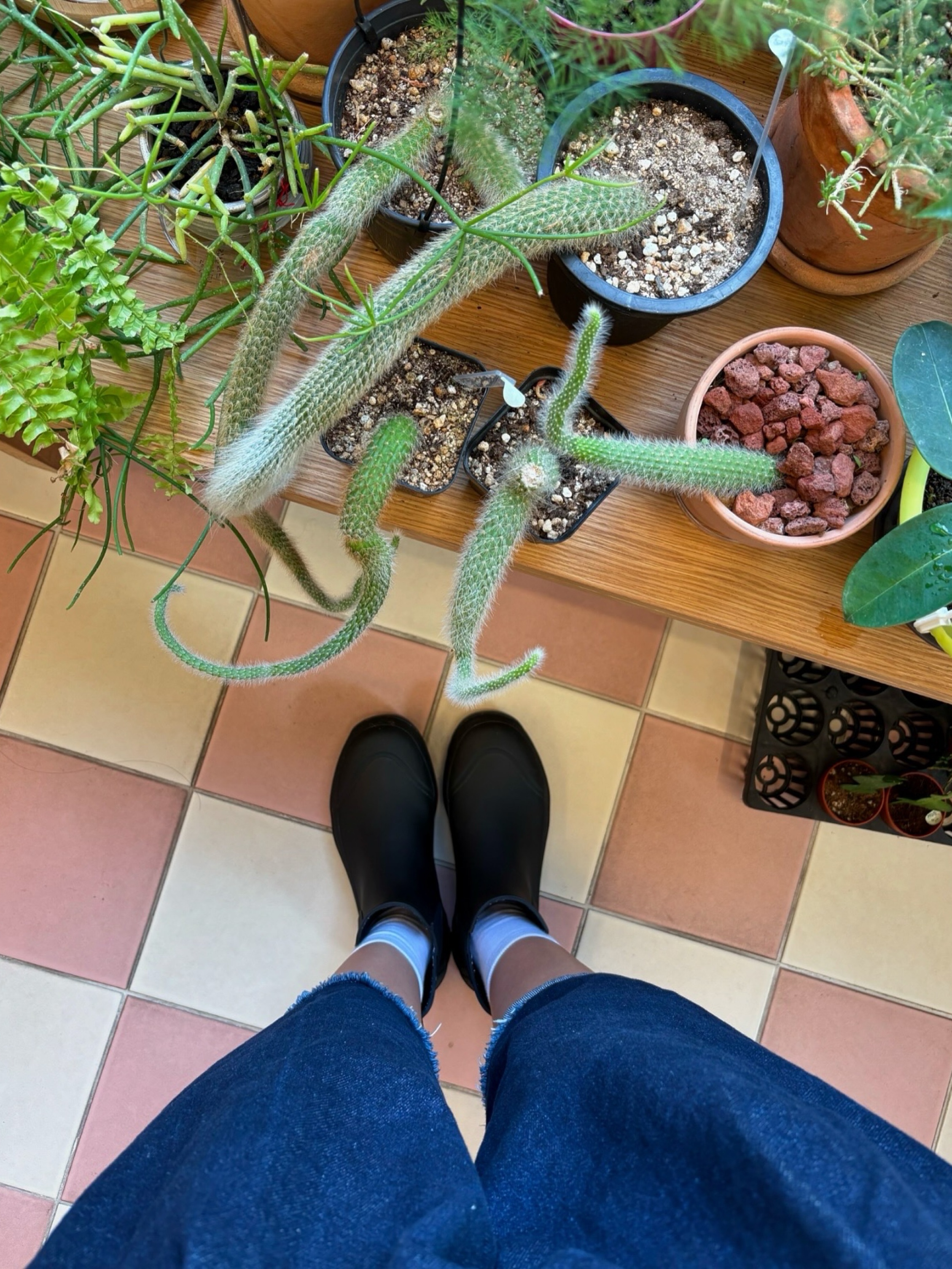 Tretorn Garpa Rubber Boots Black 착용 스타일 - 2