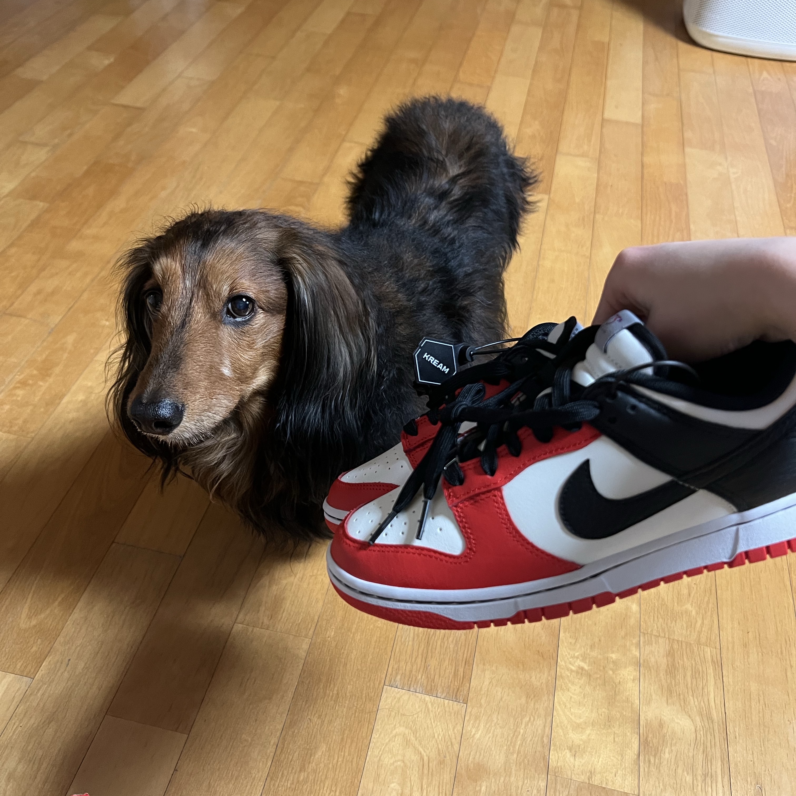 Nike x NBA Dunk Low Retro EMB Black and Chile Red, Matin Kim Logo Jacquard Short Beanie White 착용 스타일 - 2
