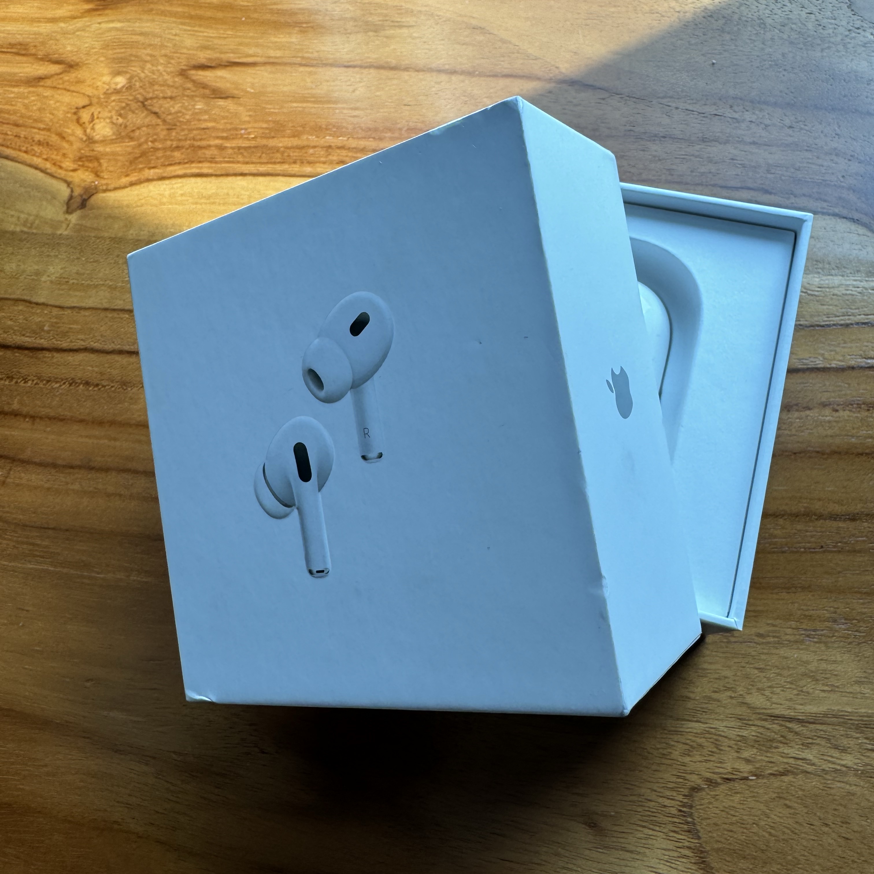 Apple Airpods Pro 2nd Gen with MagSafe Charging Case USB C (Korean Ver.) 착용 스타일