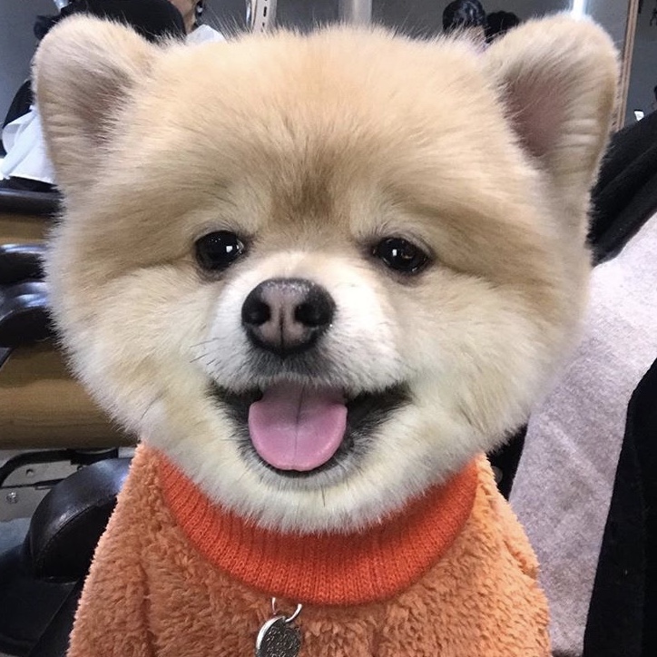 IG @KKangJuN님의 스타일