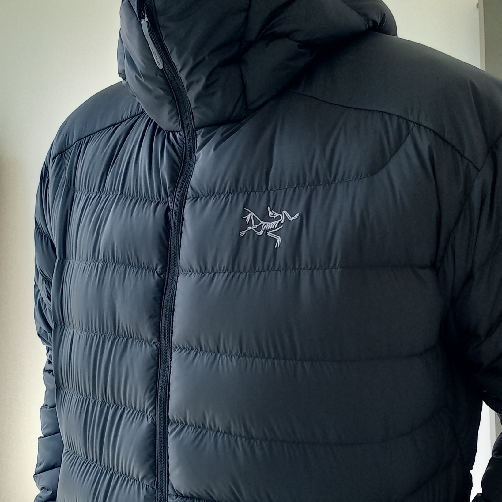 Arc'teryx Cerium Hoody Black, Arc'teryx Cerium Hoody Black ์ฐฉ์ฉ ์คํ์ผ - 3
