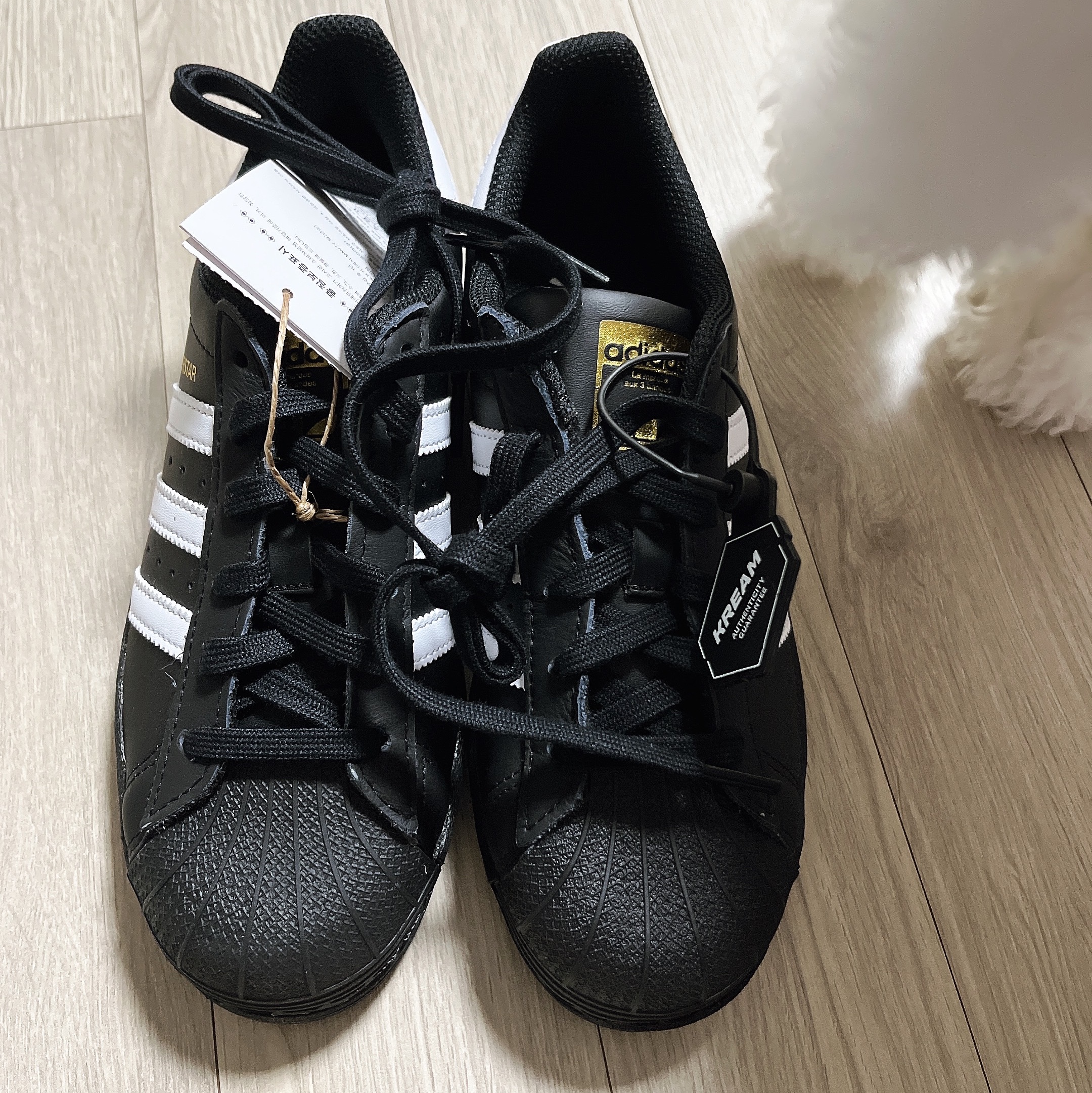 (J) Adidas Superstar Black White 착용 스타일