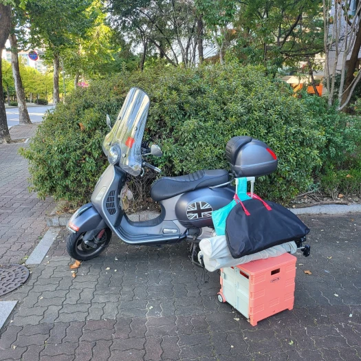 스타일 카드