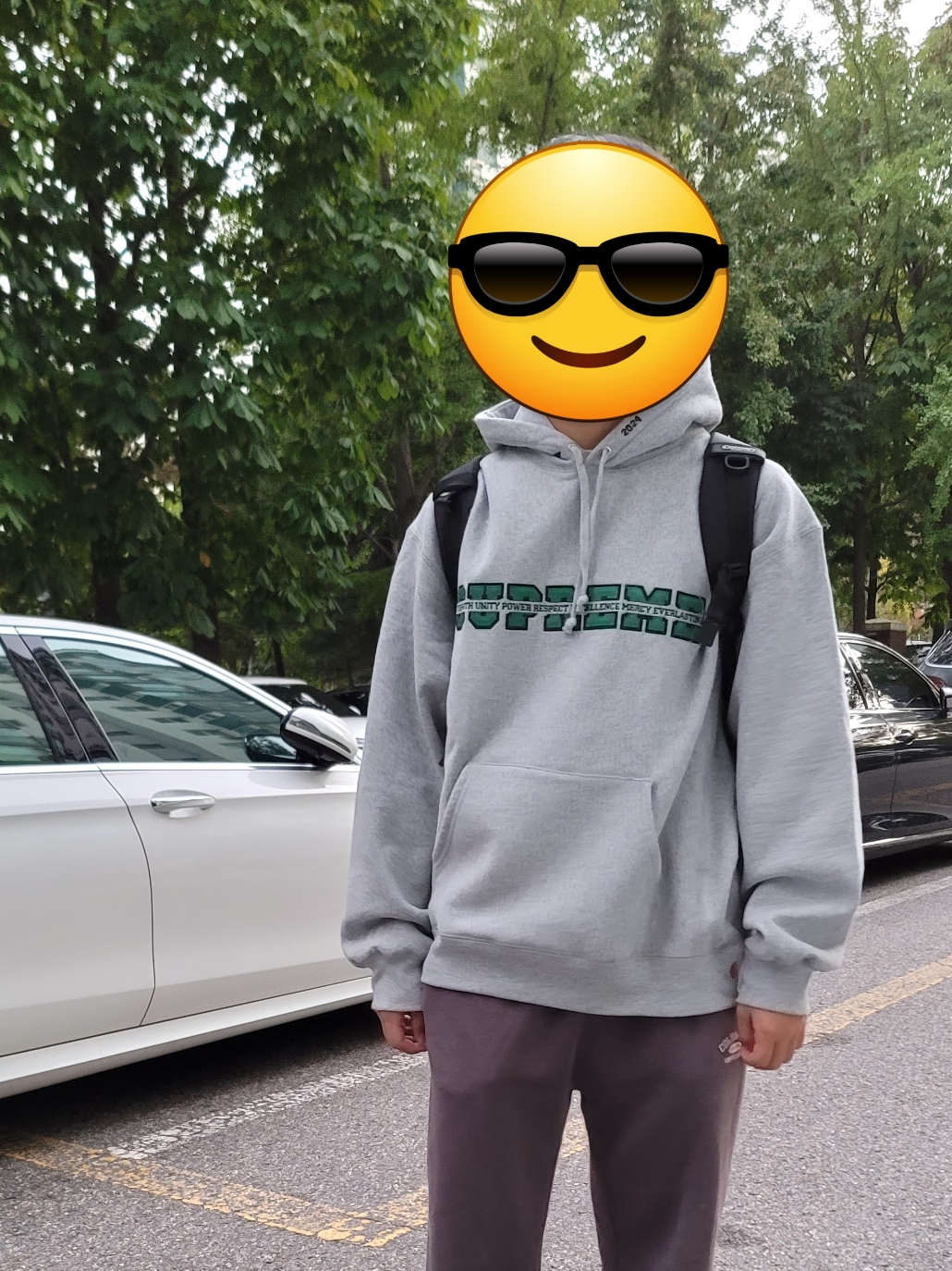 Supreme Collegiate Acronym Hooded Sweatshirt Heather Grey - 24FW 착용 스타일