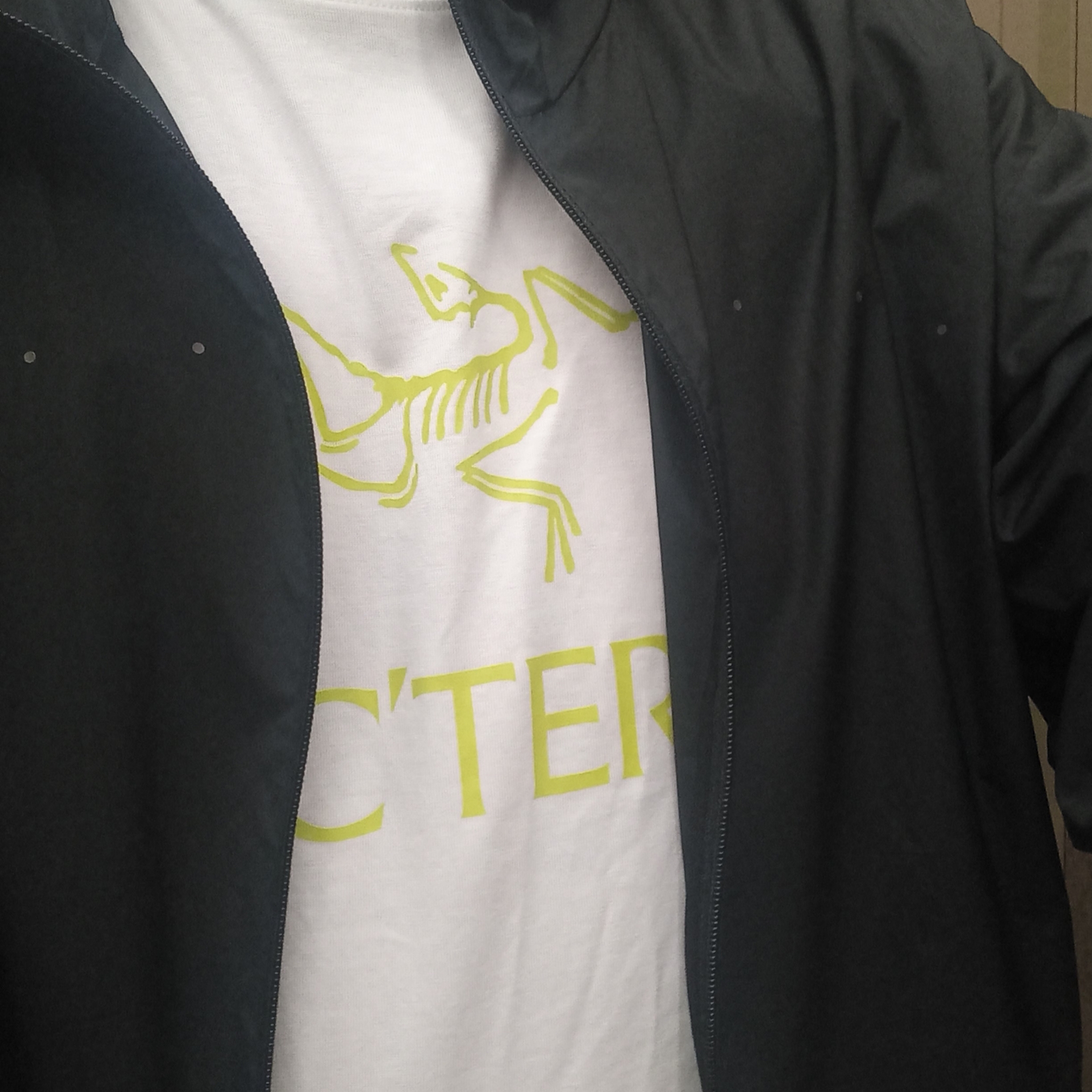 Arc'teryx Arc'word Logo SS T-Shirt White Light 착용 스타일 - 2