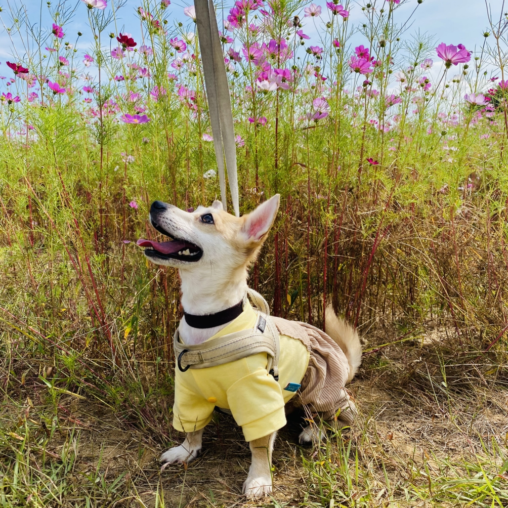 관심 유저 프로필 이미지