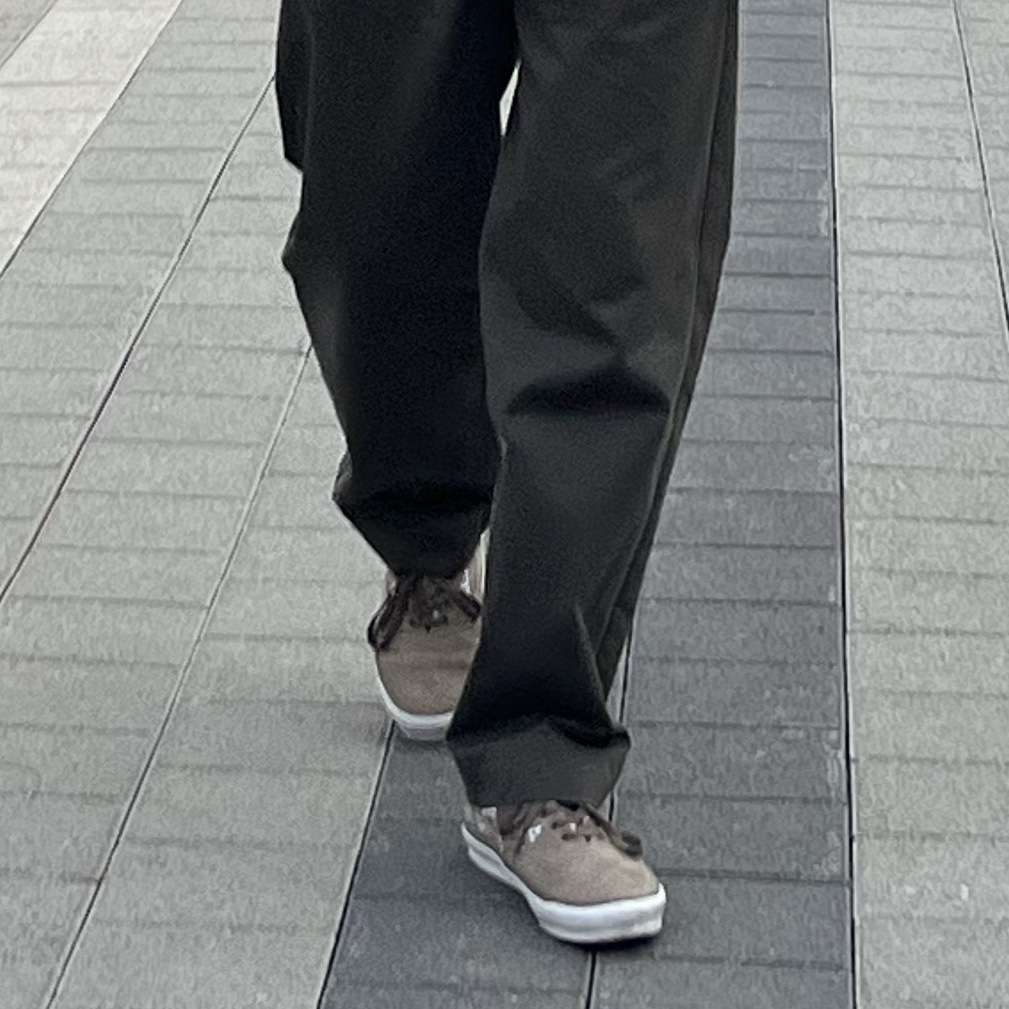 Vans Vault x WTAPS OG Era LX Bones Coyote 착용 스타일