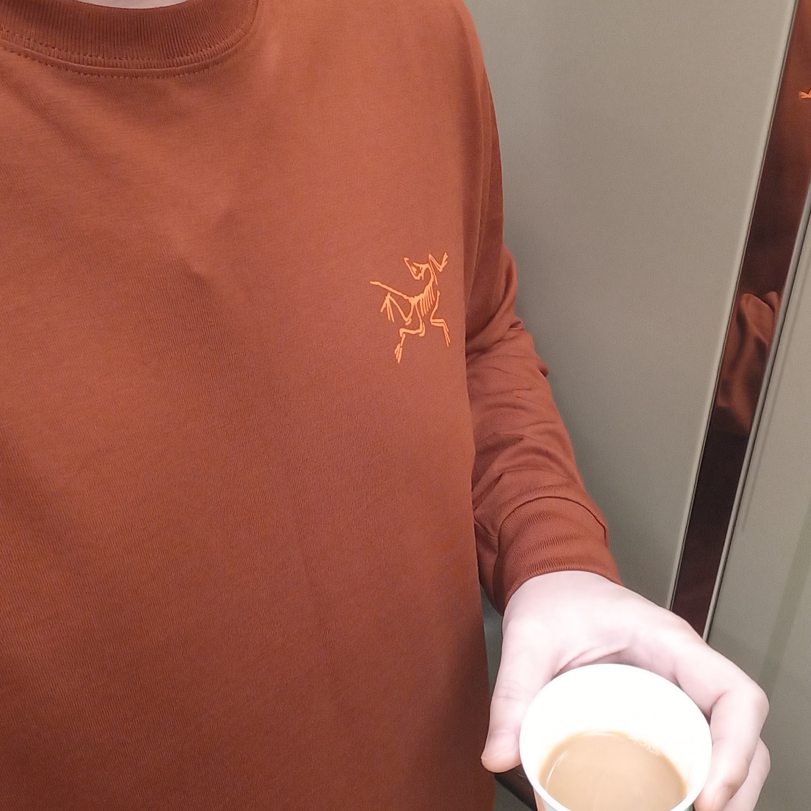 Arc'teryx Arc'Multi Bird Logo LS T-Shirt Sequoia Solaris 착용 스타일 - 1