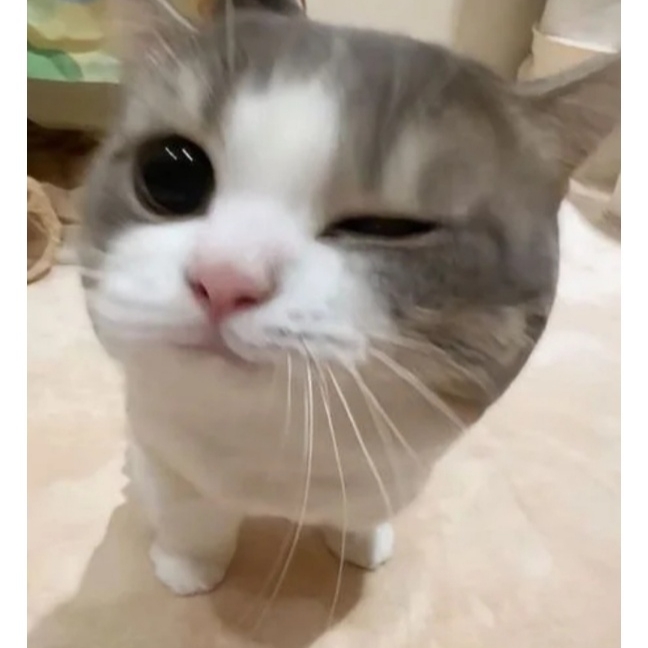 강석훈님의 스타일