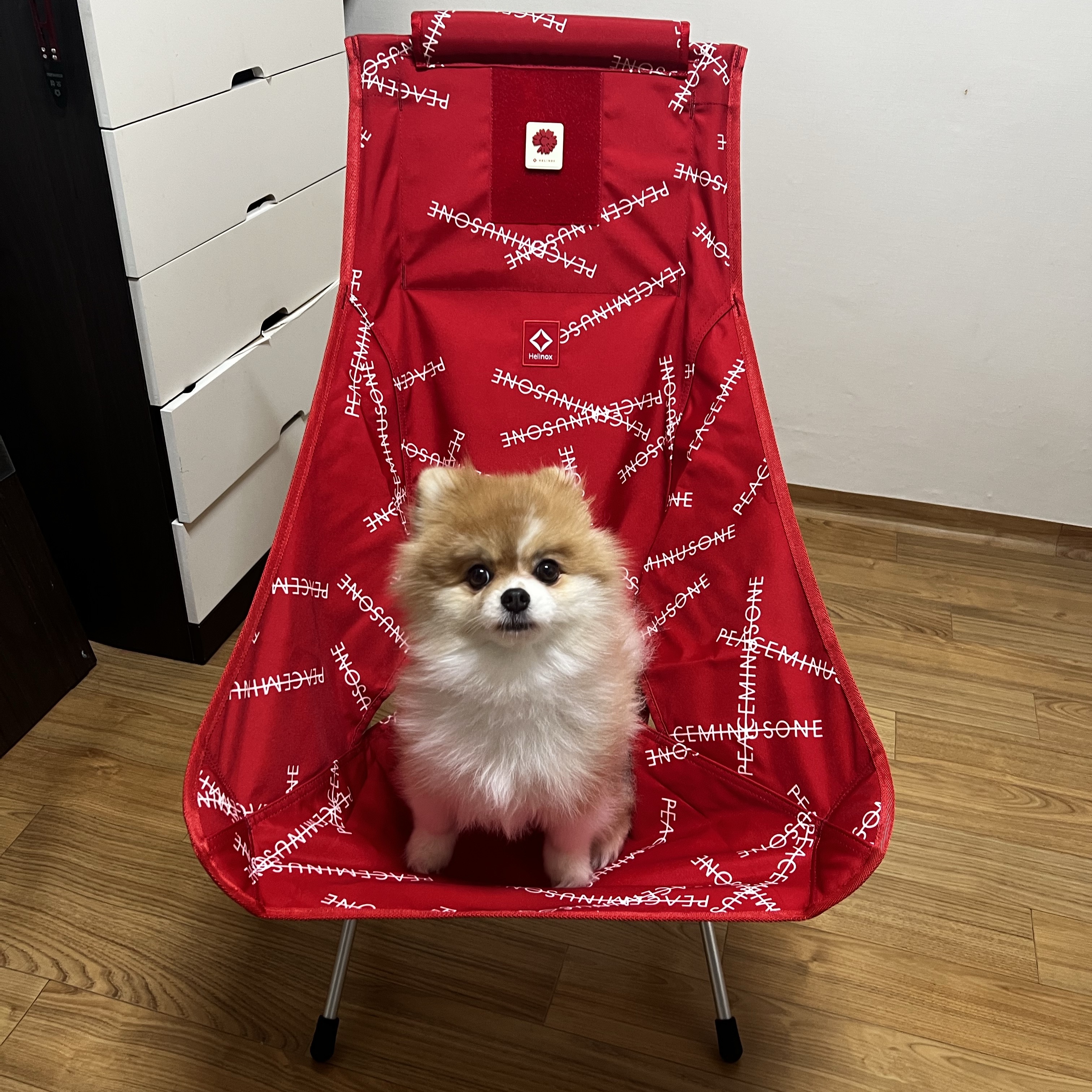 Helinox x Peaceminusone Chair Two Red - Helinox Japan Exclusive 착용 스타일