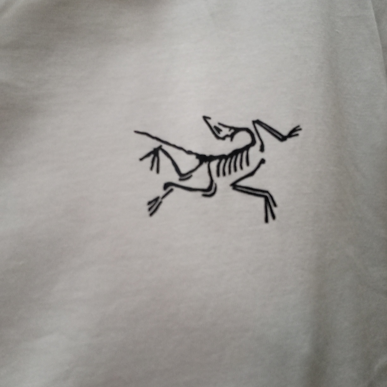Arc'teryx Arc'Multi Bird Logo SS T-Shirt White Light 착용 스타일 - 3