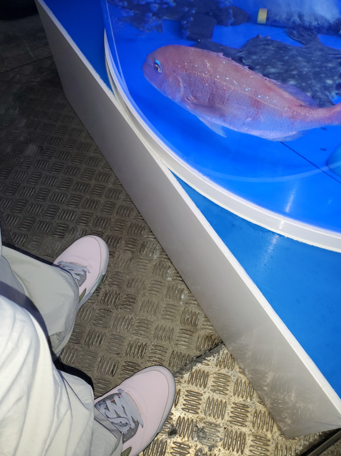 Jordan 5 Retro SE Regal Pink, Supreme Box Logo Mesh Back New Era Pink - 22SS 착용 스타일 - 1