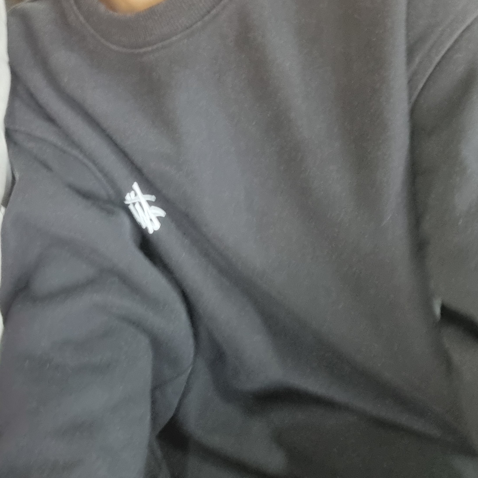 Stussy Basic Stussy Crew Black 착용 스타일