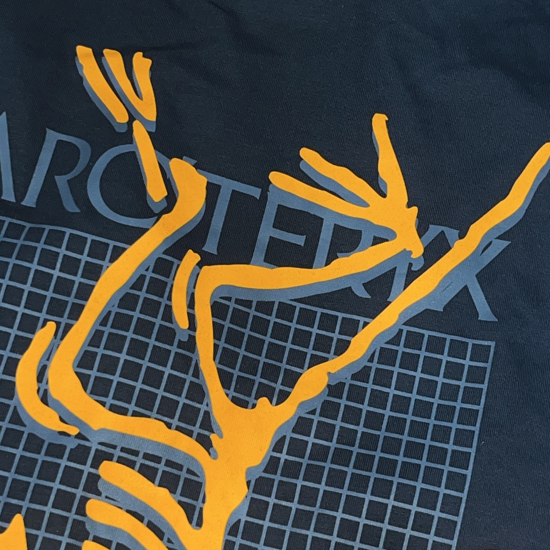 Arc'teryx Arc'Multi Bird Logo LS T-Shirt Black 착용 스타일