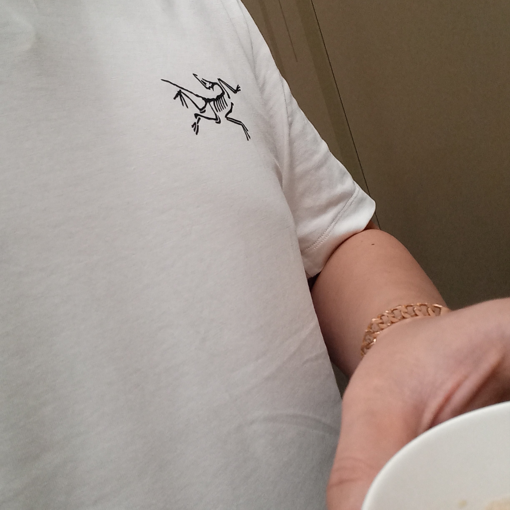 Arc'teryx Arc'Multi Bird Logo SS T-Shirt White Light 착용 스타일 - 1