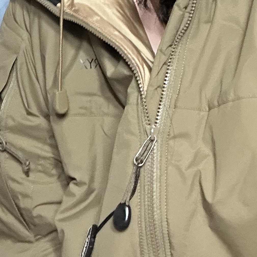 Arc'teryx LEAF Cold WX Hoody LT Gen 2 Crocodile 착용 스타일