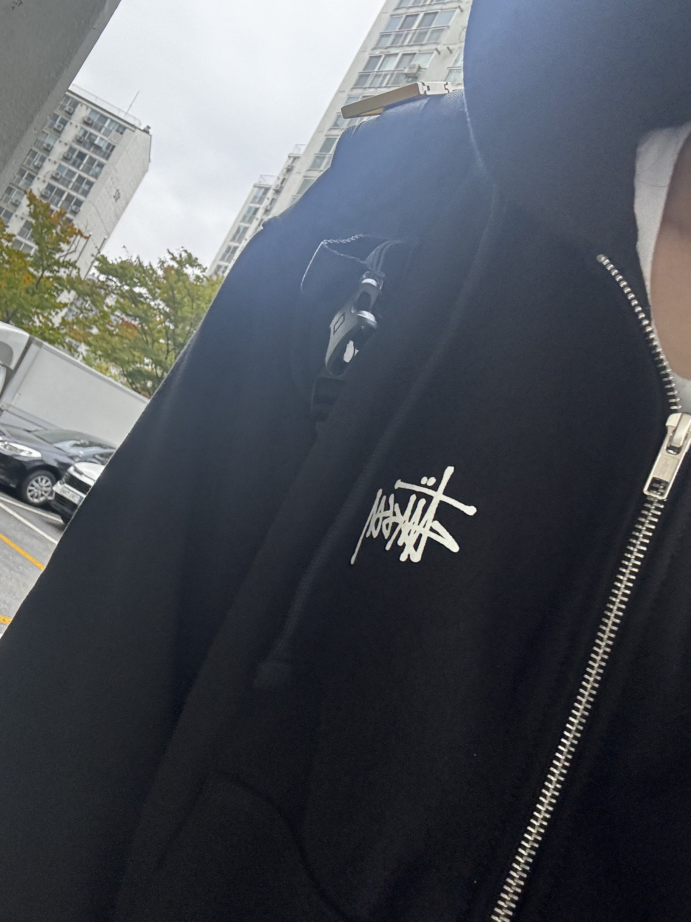 Stussy Basic Zip Hoodie Black 착용 스타일