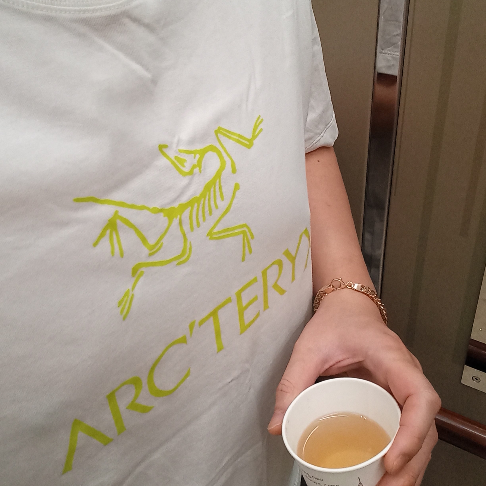 Arc'teryx Arc'word Logo SS T-Shirt White Light, Salomon RX Slide 3.0 Black Plum Kitten 착용 스타일 - 3