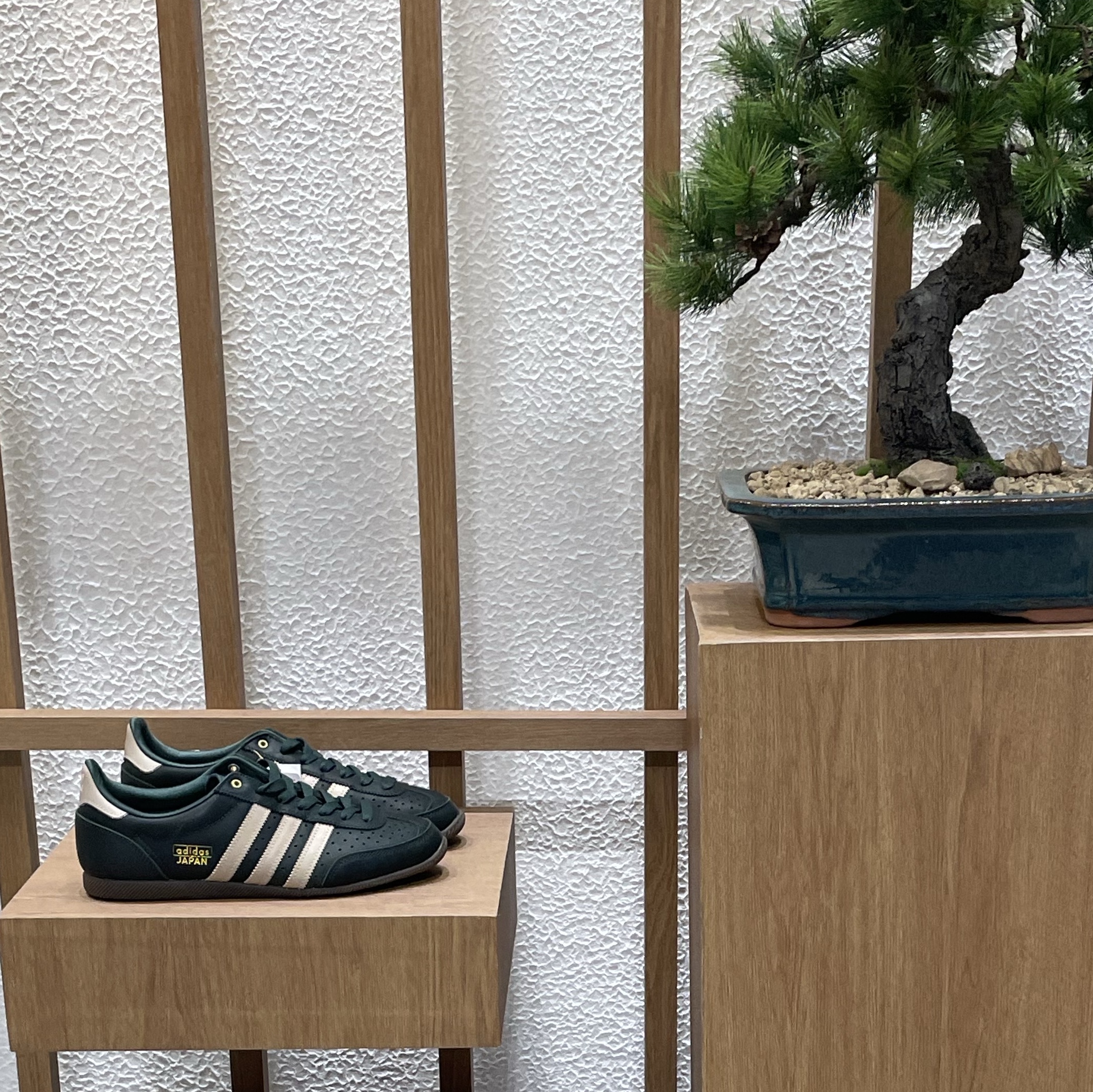 (W) Adidas Japan Core Black Cloud White 착용 스타일