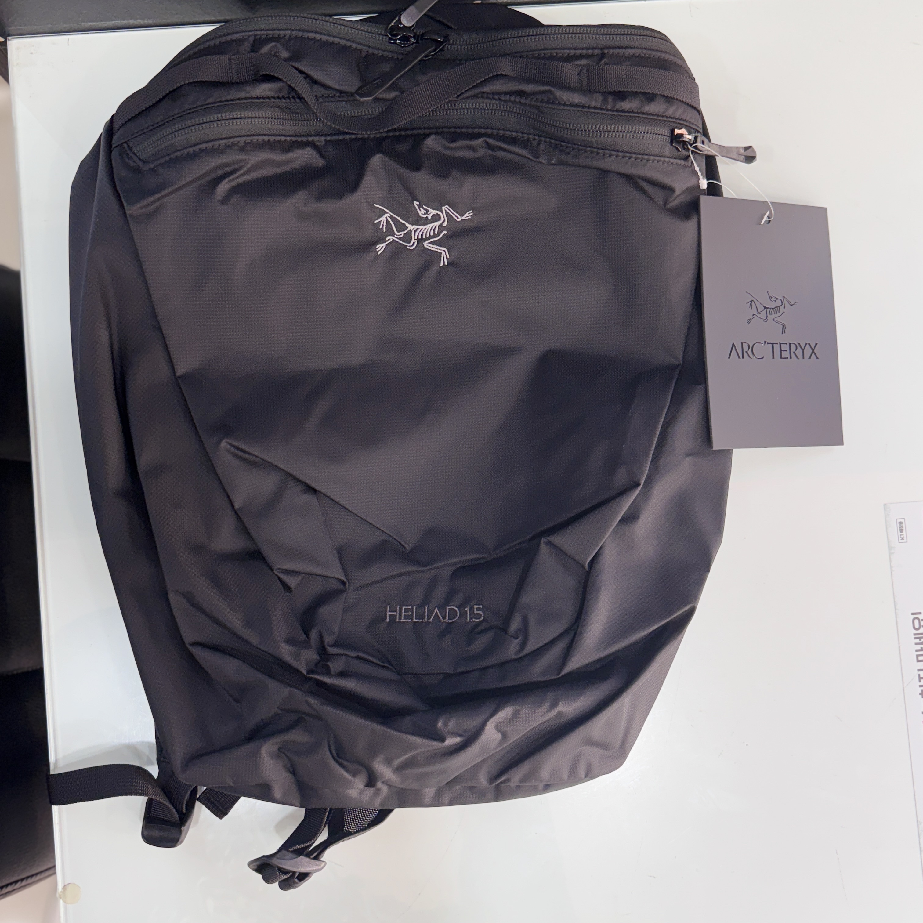 Arc'teryx Heliad 15 Backpack Black 착용 스타일