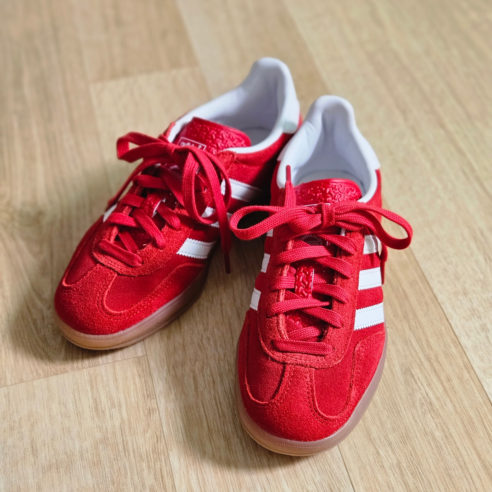 Adidas Gazelle Indoor Better Scarlet Cloud White 착용 스타일 - 3