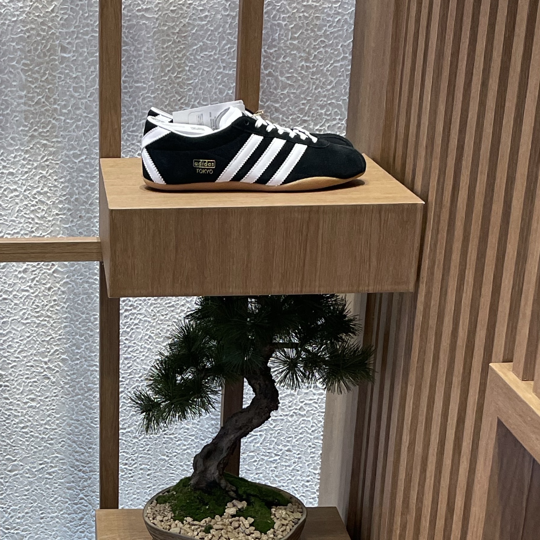 (W) Adidas Tokyo Core Black Cloud White 착용 스타일