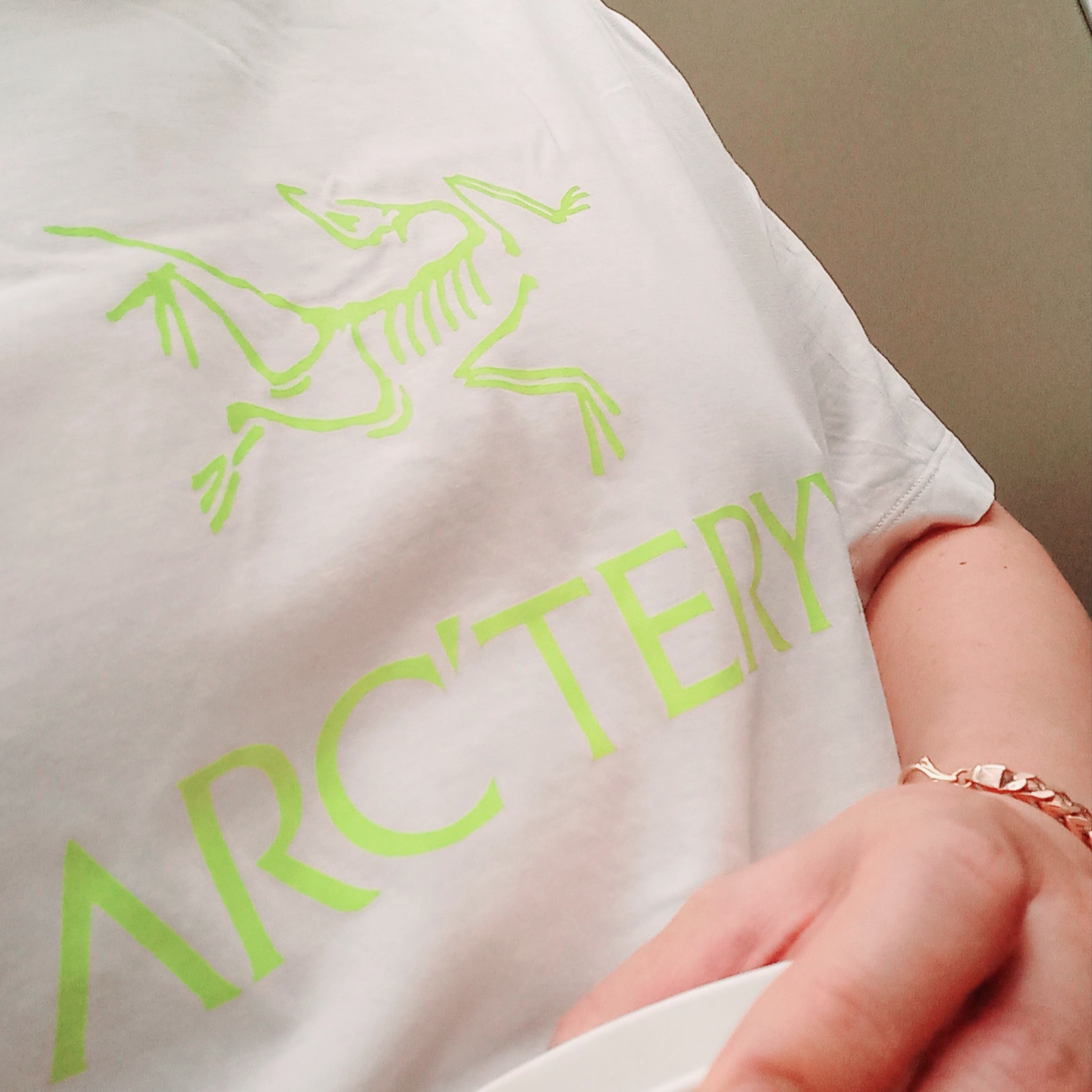 Arc'teryx Arc'word Logo SS T-Shirt White Light, Salomon RX Slide 3.0 Black Plum Kitten 착용 스타일 - 2