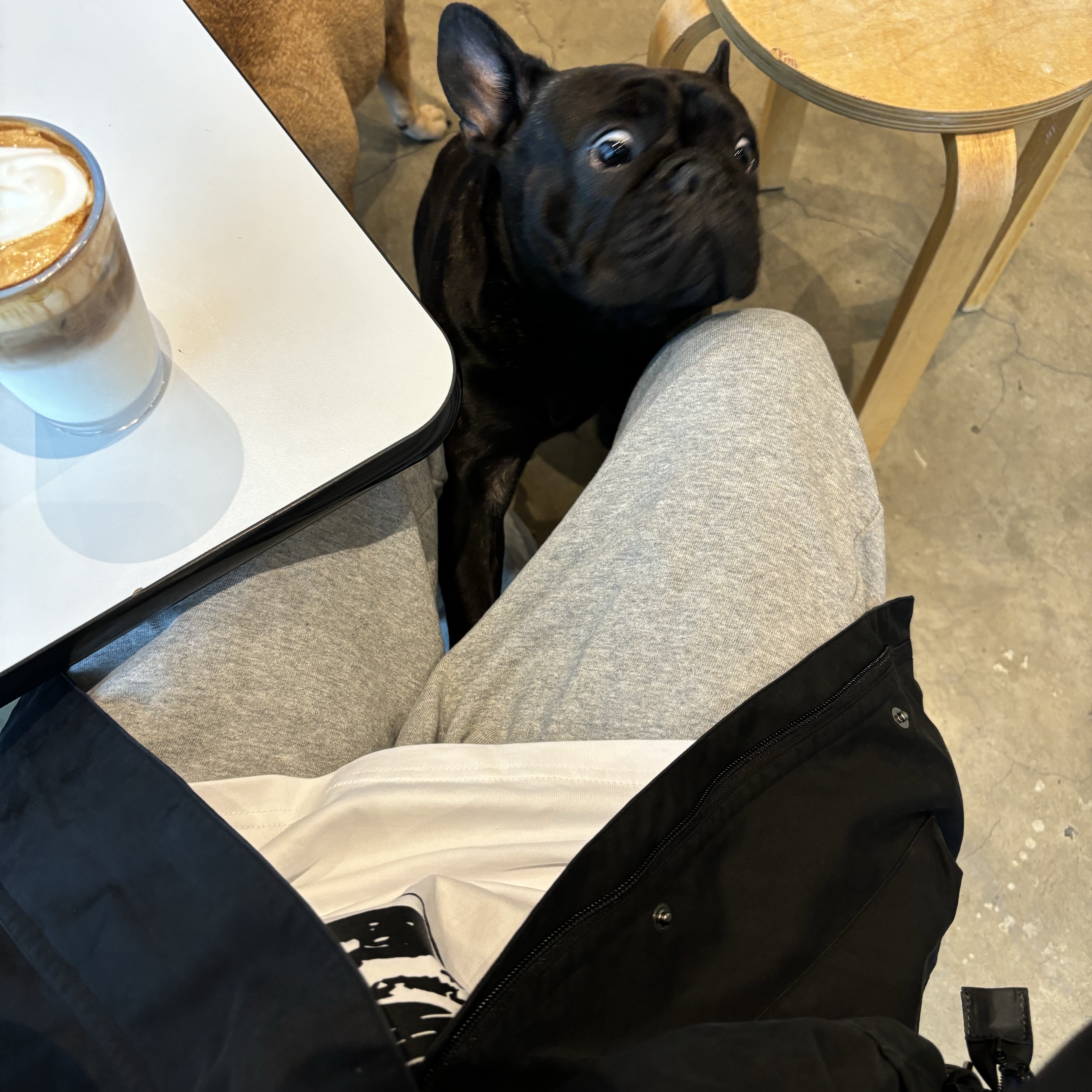 Polyteru Human Index Human Loosed Half Zip Knit Gray, Nike Air Force 1 '07 WB Flax 착용 스타일 - 5